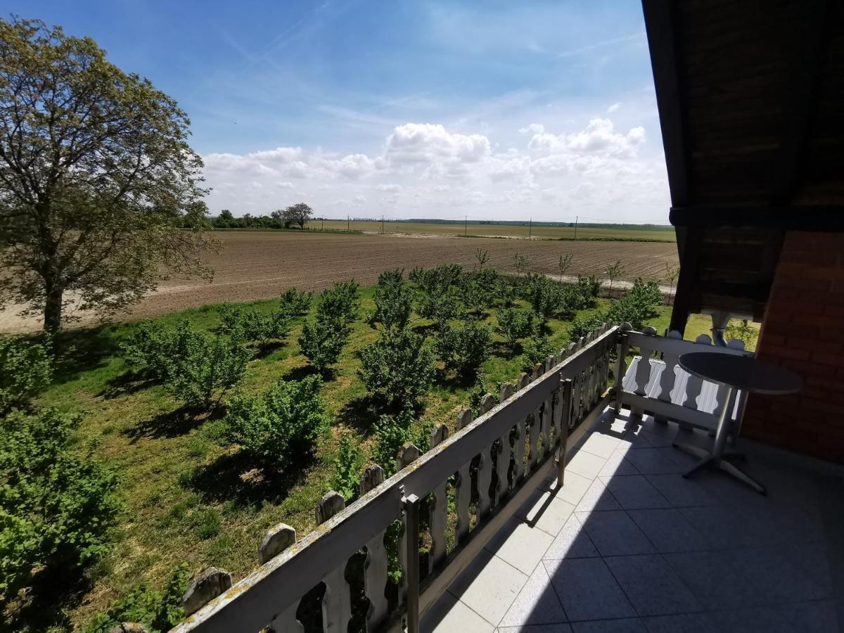 Kuca Za Odmor Bella Villa Sotin Kültér fotó
